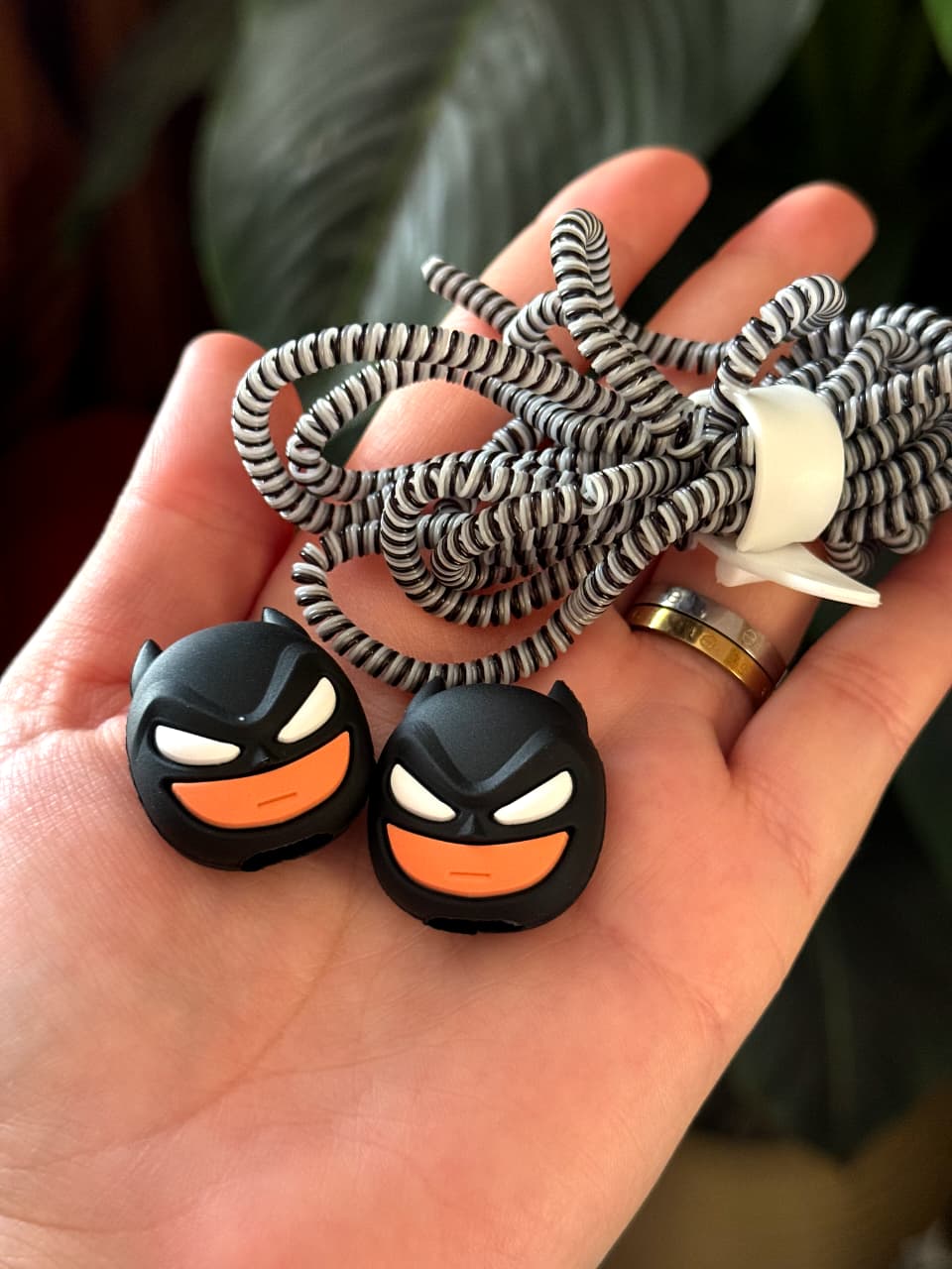Cable Procter